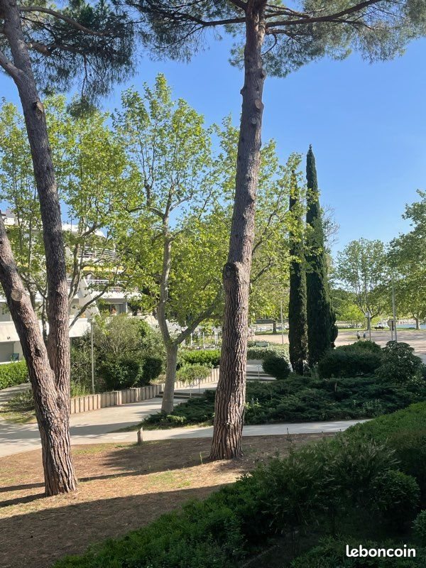 Appartement à louer, 37m², La Grande-Motte