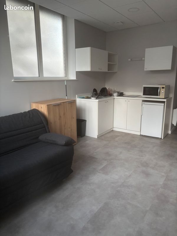 Appartement à louer, 31m², Nancy