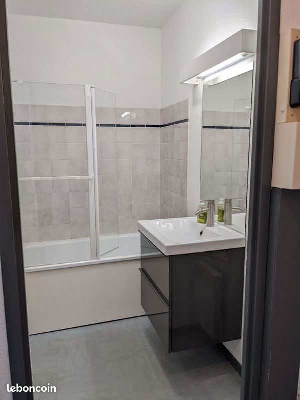 Appartement à louer, 18m², Saint-Etienne