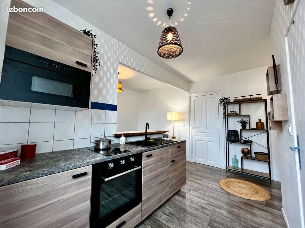 Appartement à louer, 37m², Roanne