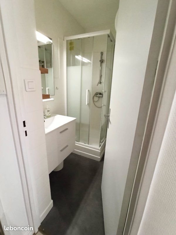 Appartement à louer, 30m², Colmar