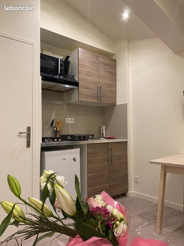 Appartement à vendre, 18m², Le Puy-en-Velay