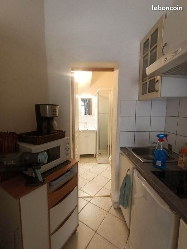 Appartement à louer, 20m², Rognes
