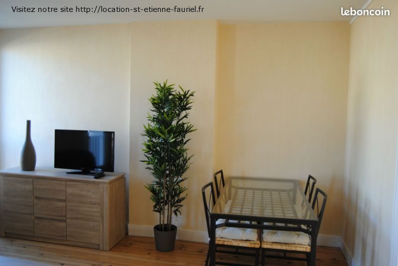 Appartement à louer, 53m², Saint-Etienne