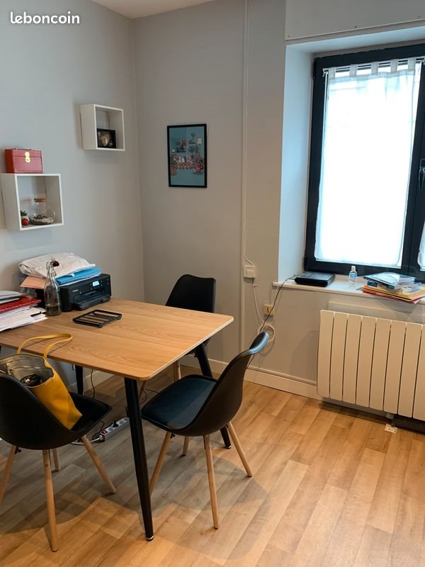 Appartement à louer, 20m², Nancy
