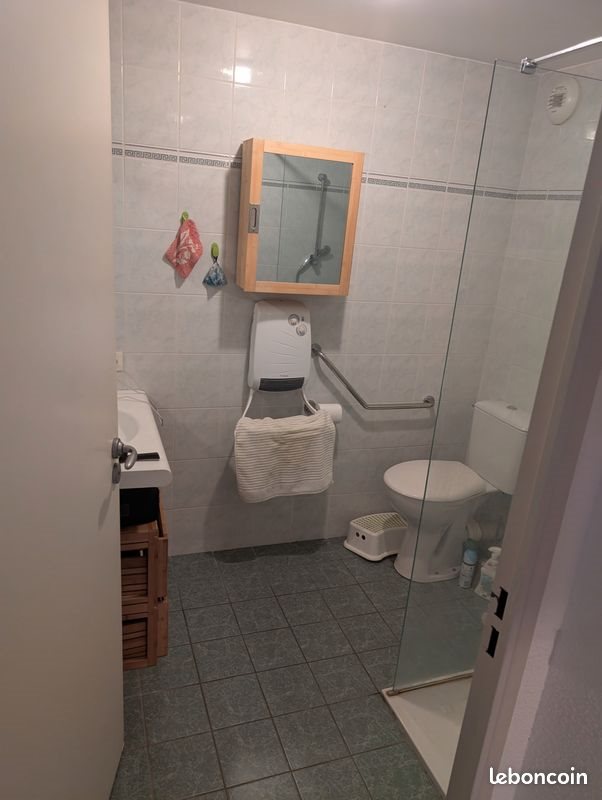 Appartement à louer, 42m², Lyon 9ème