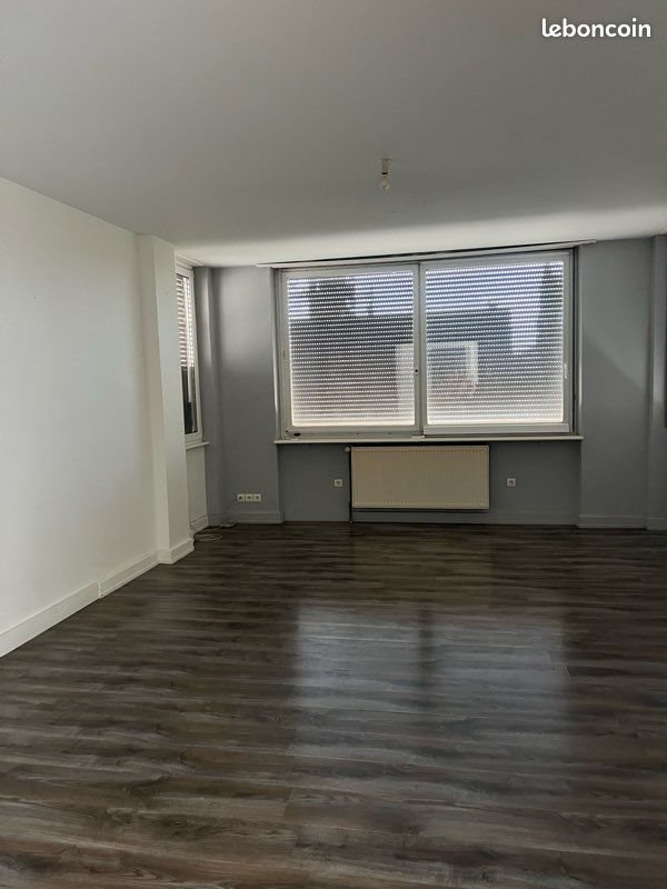 Appartement à louer, 105m², Altkirch