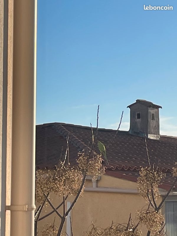Appartement à louer, 46m², Fréjus