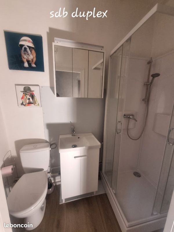 Appartement à louer, 24m², Le Puy-en-Velay