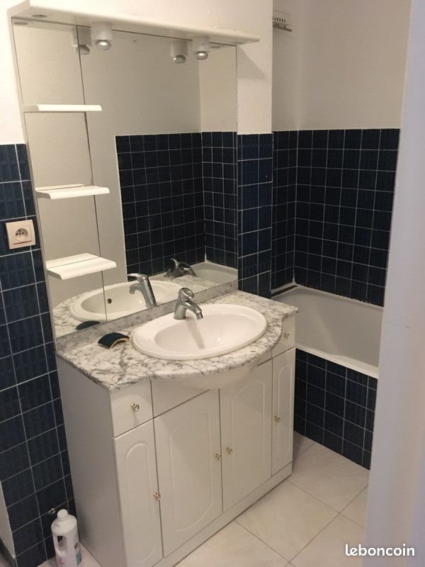 Appartement à louer, 39m², Villeurbanne