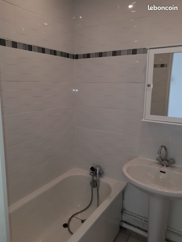 Appartement à louer, 20m², Nancy