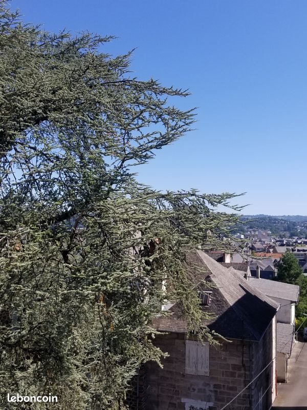 Appartement à louer, 40m², Brive-la-Gaillarde