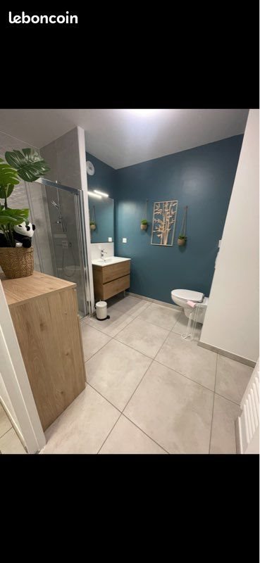 Appartement à louer, 44m², Tarare
