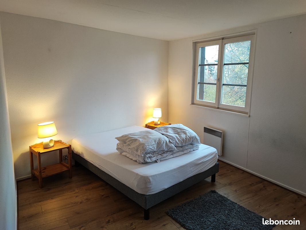 Appartement à louer, 45m², Colmar