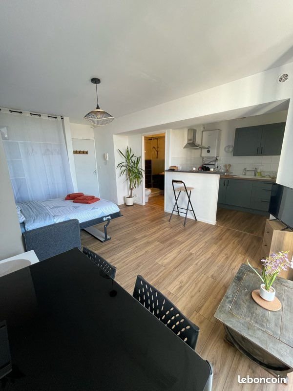 Appartement à louer, 28m², Pau