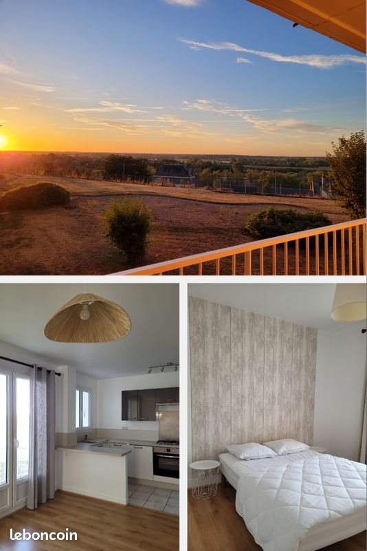 Appartement à louer, 62m², Blois