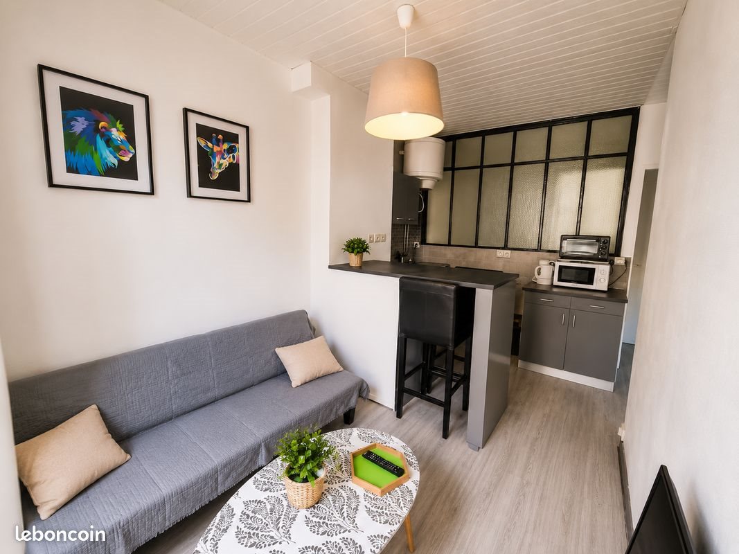 Appartement à louer, 25m², Le Puy-en-Velay