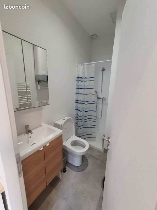 Appartement à louer, 17m², Oullins