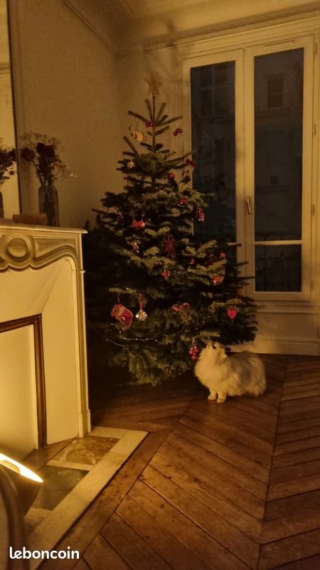 Appartement à louer, 60m², Paris 16ème