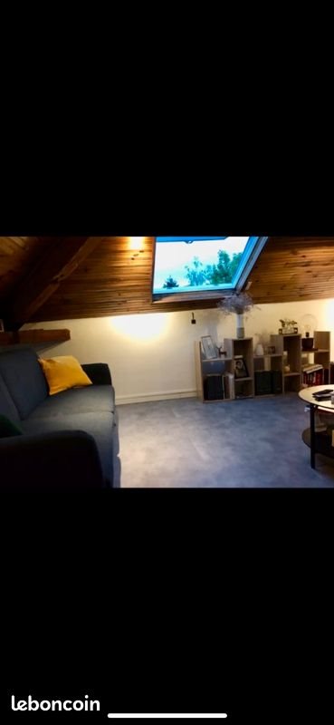 Appartement à louer, 47m², Tassin-la-Demi-Lune