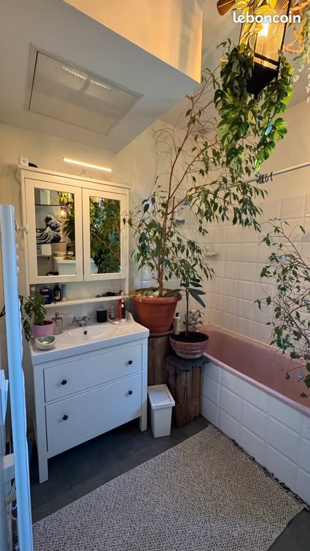Appartement à louer, 50m², Tours