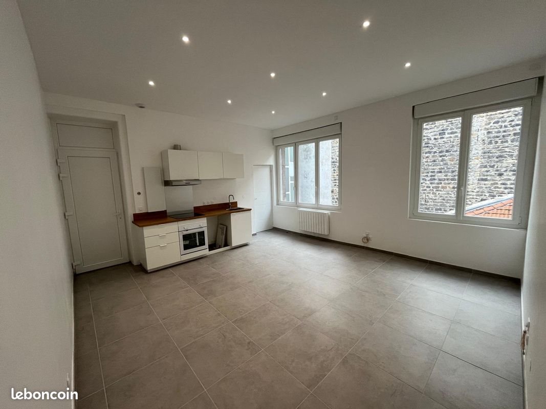 Appartement à louer, 55m², Saint-Étienne