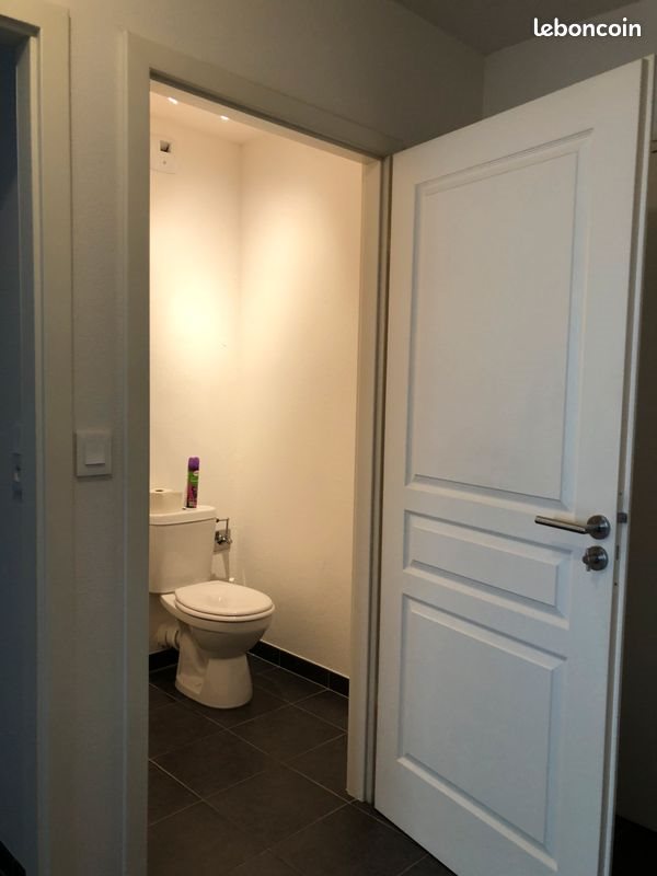 Appartement à louer, 63m², Schiltigheim