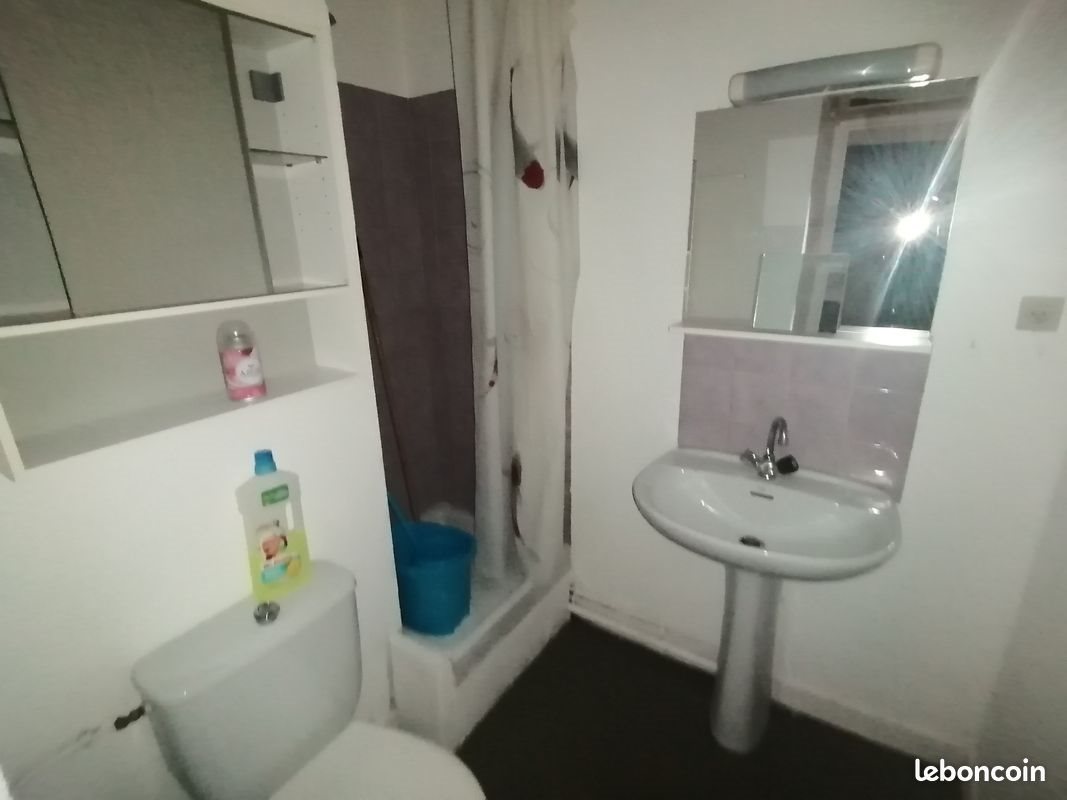 Appartement à louer, 20m², Saint-Etienne