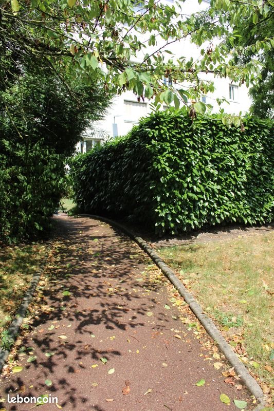 Appartement à louer, 65m², Versailles