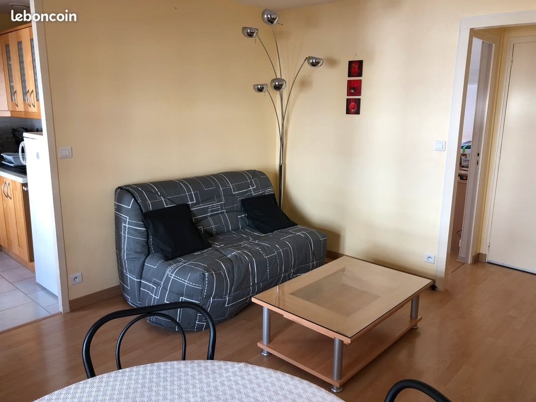 Appartement à louer, 39m², Angers