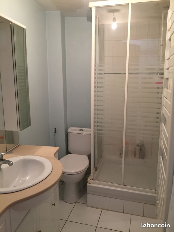 Appartement à louer, 39m², Lille