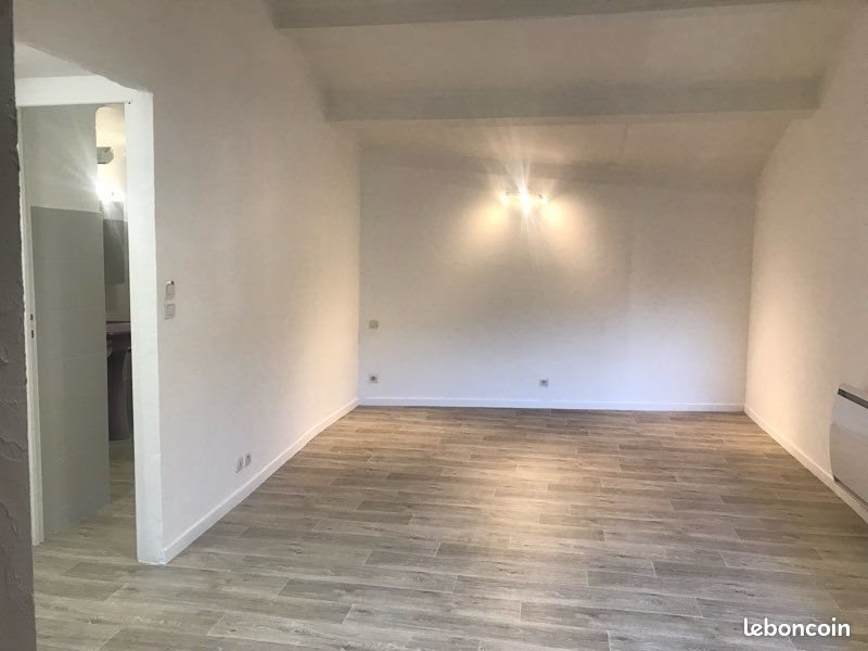 Appartement à louer, 30m², Saint-Jean-de-Fos