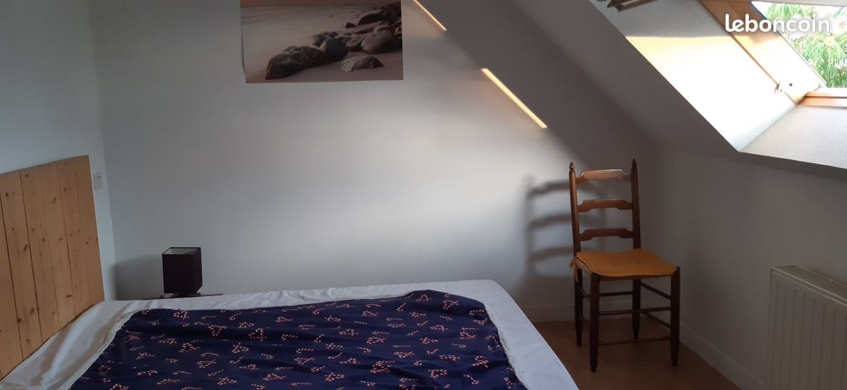Appartement à louer, 25m², Vannes
