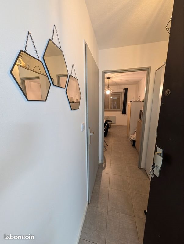 Appartement à louer, 18m², Brunstatt