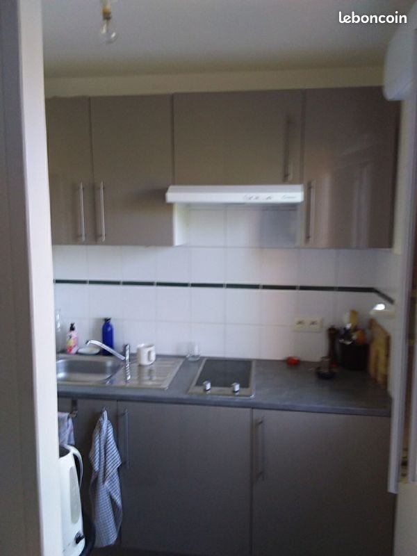Appartement à louer, 55m², Albi