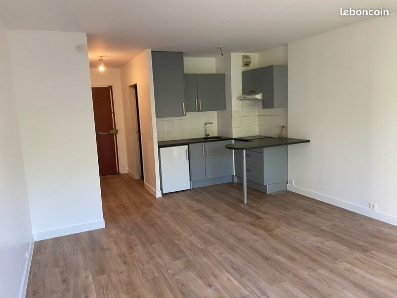 Appartement à louer, 30m², Maisons-Alfort
