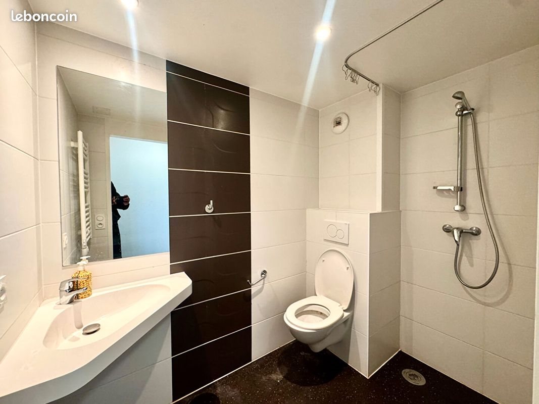 Appartement à vendre, 17m², Lyon 7ème