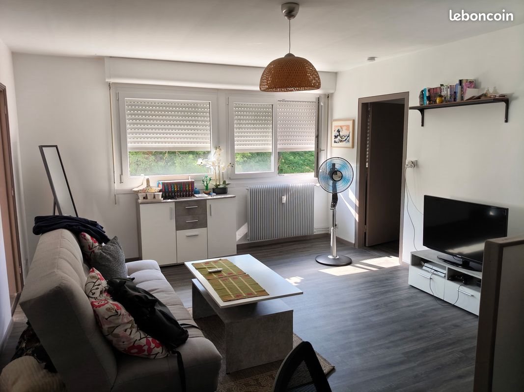 Appartement à louer, 47m², Nancy