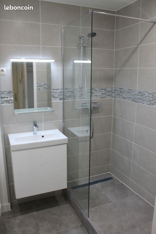 Appartement à louer, 29m², Nancy