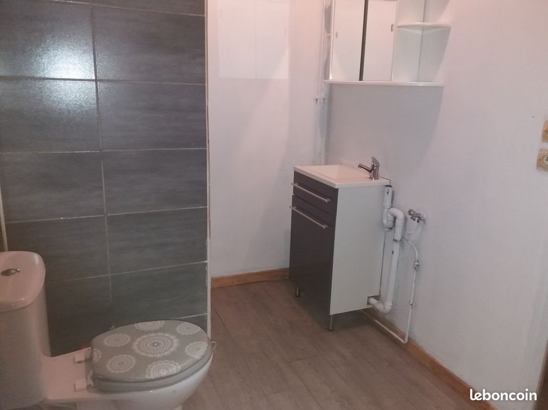 Appartement à louer, 50m², Lille