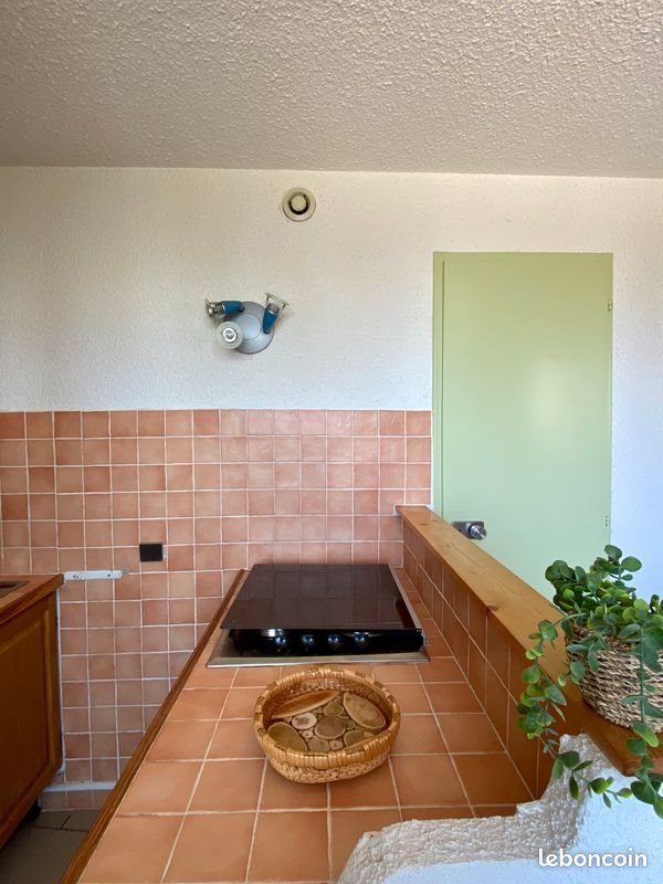 Appartement à vendre, 35m², Selonnet (Chabanon Selonnet)