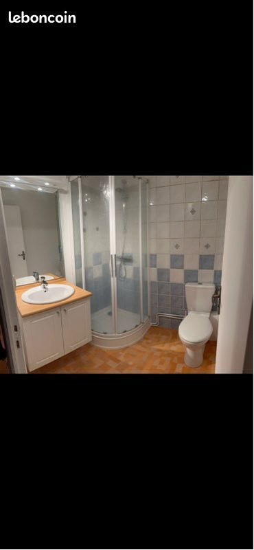 Appartement à louer, 45m², Saint-Etienne
