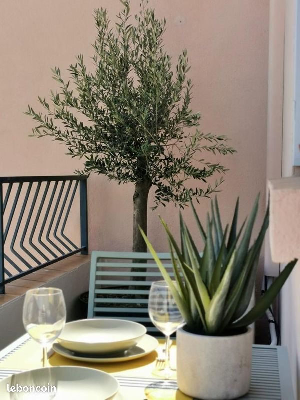 Appartement à louer, 266m², Sanary-sur-Mer
