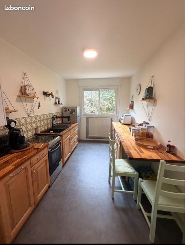Appartement à louer, 46m², Cusset