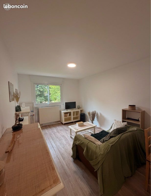 Appartement à louer, 46m², Cusset