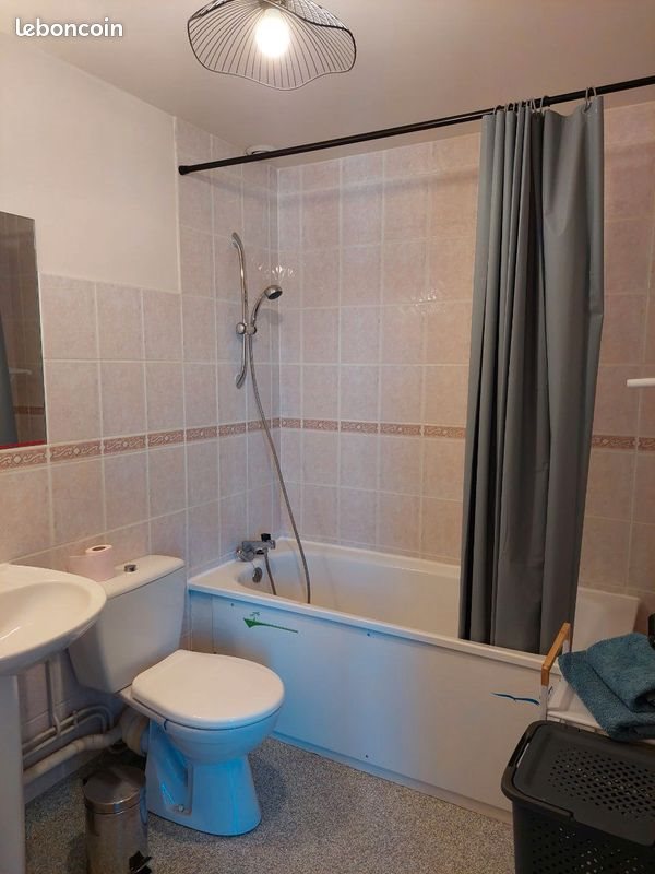 Maison à vendre, 310m², Thiers