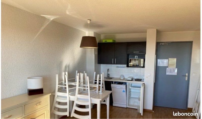 Appartement à vendre, 33m², Besse-et-Saint-Anastaise