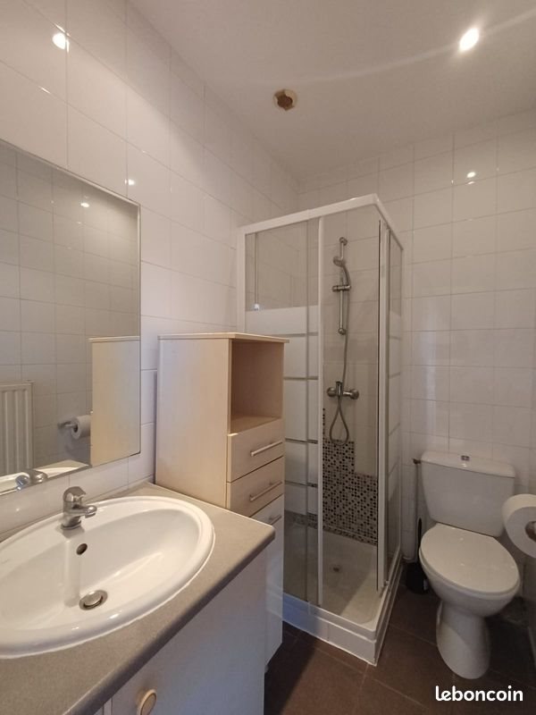 Appartement à louer, 53m², Saint-Étienne