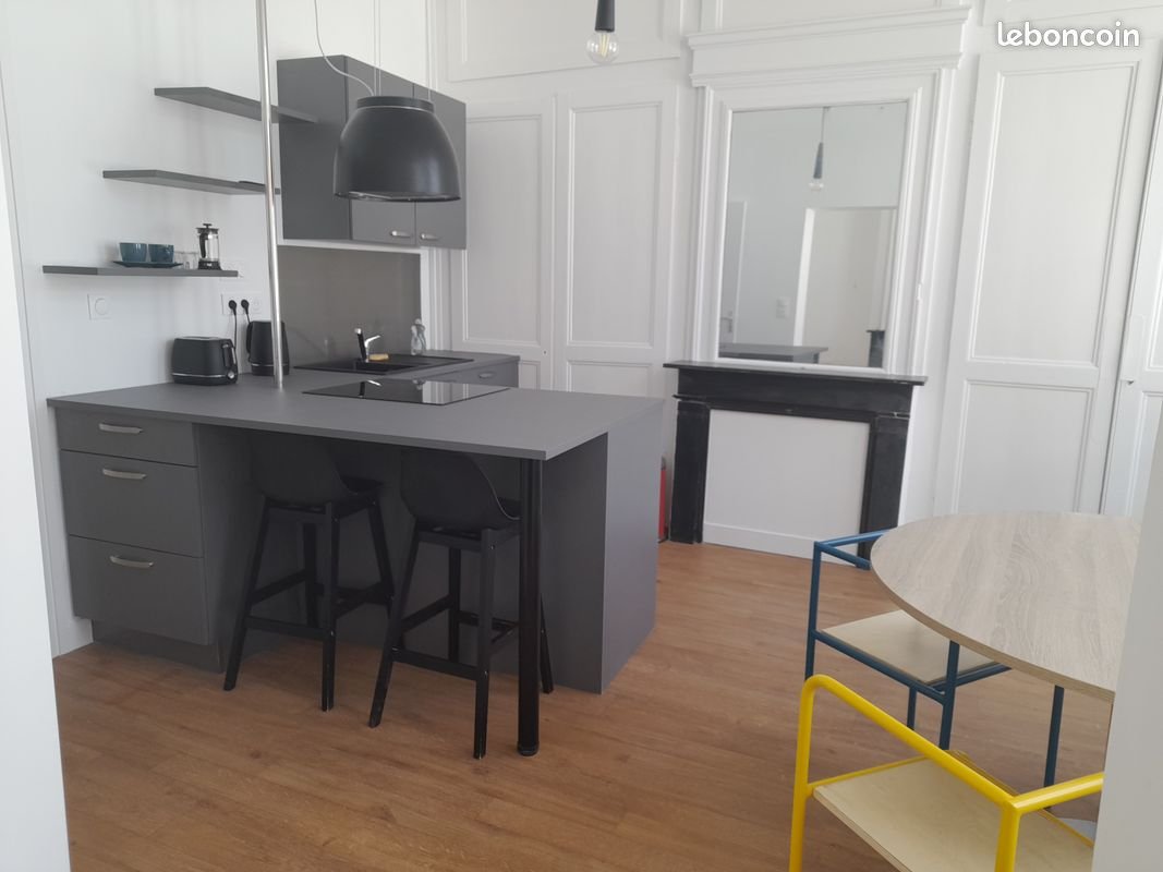 Appartement à louer, 54m², Lille