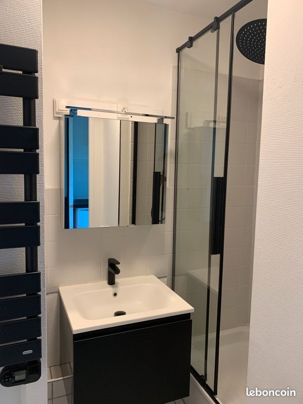 Appartement à louer, 19m², Villeurbanne